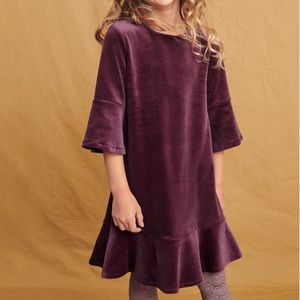 Garnet Hill Kids Burgundy Velvour Bell Sleeve Dress